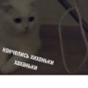 grace_fav_animals 15