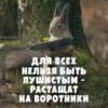 Создать стикеры| 15