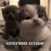 Китики by 22