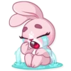 Rosy Bunny 24