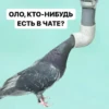Создать стикеры| 6