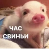 Создать стикеры| 7
