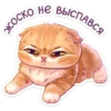UKTROIZHOU_by_stikers_du_ark_bot 16