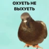 Создать стикеры| 8