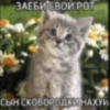 Китики by 24