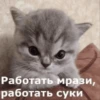 Китики by 25