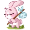 Rosy Bunny 27