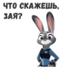 JudyHops 16