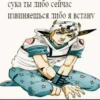 Jojokall 23