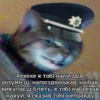 Yкр меми | more 25