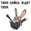 JudyHops 17