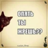 Создать стикеры| 22