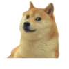 General_Meow 28