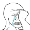 Trollface 13