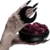 Personal Witches 25