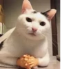grace_fav_animals 28
