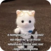 UwU 28