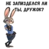 JudyHops 21