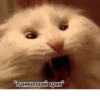 grace_fav_animals 30