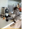 Создать стикеры| 27