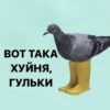 Создать стикеры| 13