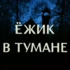 Mystery 29