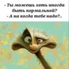 Создать стикеры| 30
