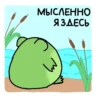 Frogs 30
