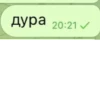 дура 20:21
