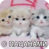 Set_448_by_makestick3_bot 6