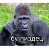 GAGAUZ 8