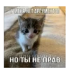 У МЕНЯ НЕТ АРГУМЕНТОВ С ПРОЩЕХРАНИЛИН НО ТЫ НЕ ПРАВ