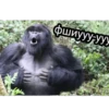 GAGAUZ 10