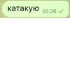 катакую 20:26