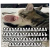 AAAAAAAAAAAAAAAA ААААААААААААААЪЪ ЪЪЪААААААААААААА AAAAAAAAAAAA