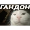 ГАНДОН