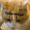 Котыки от 7