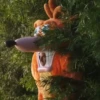 Crash Bandicoot Community ITA 9