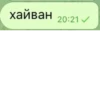 хайван 20:21 ✓
