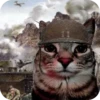 Cats 5