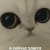 Стики 6154 из 13