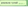 реально тупой 20:29 ✓
