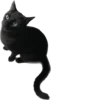 Valerian The Cat 9