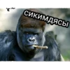 GAGAUZ 17