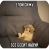 ЗЛОЙ СИЖУ ВСЕ БЕСИТ НАХУЙ
