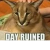 DAY RUINED