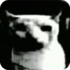 Cats 6