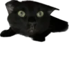 Valerian The Cat 10