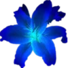 HbpbQeI_by_achestickbot 21