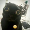 JukJPDZ_by_achestickbot 15